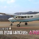 현대울산숲