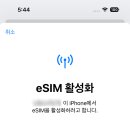 초밥선생