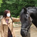 기쁜목장 이미지