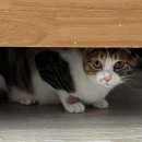 수원여객운수㈜ | 일본 여행 (1) - 나 알고보니 날씨요정일수도..