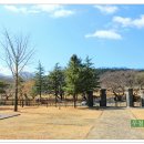 여행장군