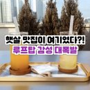 위버럭스 | [일산 루프탑카페 추천] 햇살, 공기, 감성까지 마시는 공간 파르코니도 (Parconido) 리얼 후기