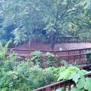 상업용 101 이미지