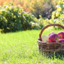 연일부조장터협동조합 | 포항시 문화정보 안내’ (‘19, 9/16~ )효자한의원