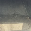 코끼리세차장 이미지