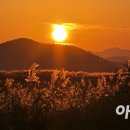 붉은노을 아이뉴스24