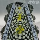 야탑동 351 (분당차병원) 이미지