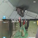 수달 화장실 이미지
