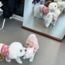 Hey Bro(헤이브로) 이미지