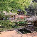 초원정 | 한국적인 조용한 곳 여행지 주말 휴일 나들이 데이트 코스 장소