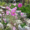 (주)듀만 이미지