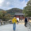 최여사네족발 | [2025년 일상]11월 첫 번째