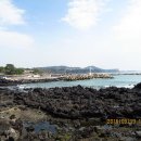 바당어부 이미지