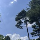 재판농장 | Sofia Isella] 소피아 이셀라 첫 단독 내한공연 후기! @ 홍대 롤링홀 26.07.24.금 / 소피아는 여자의...
