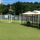 코코애견 이미지