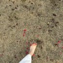 [대구역네일] 바이윰 | 휴앙지여행 패디큐어 받은 후기