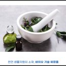 에스글로벌플러스