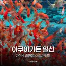 더불어사는 자연 2 | “아이랑 가면 무조건 뽕 뽑음” 일산 아쿠아가든, 가성비 끝판왕 수족관카페 다녀온 후기