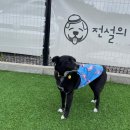 호야네일 이미지