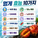 멍게 효능 10가지 총정리 (+부작용, 제철, 칼로리, 솔직 후기)