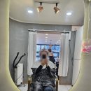 마산 상남동 미용실 마산 헤어샵 VIP