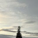 준독 | 1월 삿포로 대폭설에도 일정 진행한 인디고 트래블 비에이 투어 솔직 후기