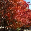 개운중학교 이미지