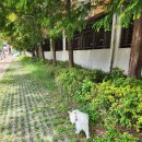 컴피 화명점 이미지