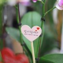 하나파크 이미지