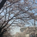 마상로 네이버블로그