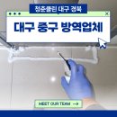 대구방역 | 대구 중구 방역업체 청춘클린의 꼼꼼한 작업 후기
