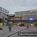 더썸 네이버블로그