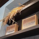 소중보건진료소 | 소로리쌀상회 청주 옥산 카페 추천 후기 (내돈내산)