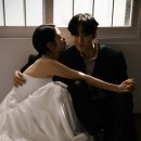 미모아애견 | [ 커스터마이징 결혼준비 웨딩 디렉팅 ] 미모아 웨딩 스튜디오 2025년 뉴샘플과 미모아 스튜디오의 모든것