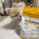 메디스동물병원 | [제품 리뷰] 콩이 신장 결석 없애버릴 거야 😡 닥터힐메디스레날 사료 구매!/서이추환영