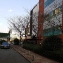 라임로고스 | [목포숙소] 목포 호텔 라임 Hotel Lime 숙박후기 @ AGODA