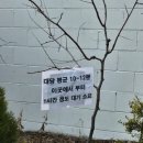 세차][남양주노브러쉬세차]스크레치 걱정없는 신개념 자동세차 컴인워시 남양주삼패점에 다녀왔어요&#39;◡&#39;✿