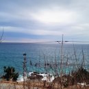 융창펜션 이미지