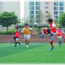 비호경희대태권도 이미지