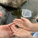 지환이의 주말 지낸 이야기 이미지