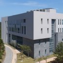 NLCS JeJu | 제주도 국제학교 완전정리 🏫NLCS · 브랭섬홀 아시아 · KIS · SJA 한눈에!