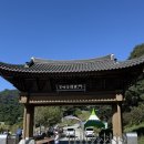 황토현마을 | 정읍 구절초 지방정원 축제 후기｜가을에 꼭 가봐야 할 꽃 명소