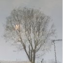 consolatio 이미지