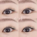 라니네일 이미지