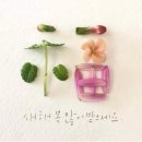 [26년 설]★예약주문★동원참치s9호 ※ 2/4(수) 부터 순차출고 이미지
