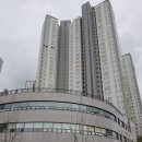 성포동 파크푸르지오 108동 앞 횡단보도 | 안산 파크푸르지오 계약후기, 안산 아파트 같이 봐요
