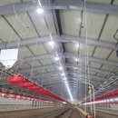 남원가축인공수정 이미지