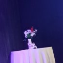 구미호 | 연극 구미호식당 후기