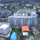 자인파출소 이미지