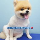 괴정3동-6 이미지